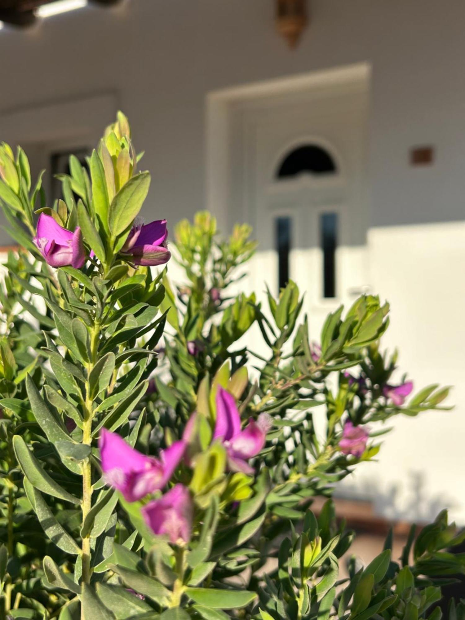 Oasi Di Casablanca Hotel Lampedusa Eksteriør billede